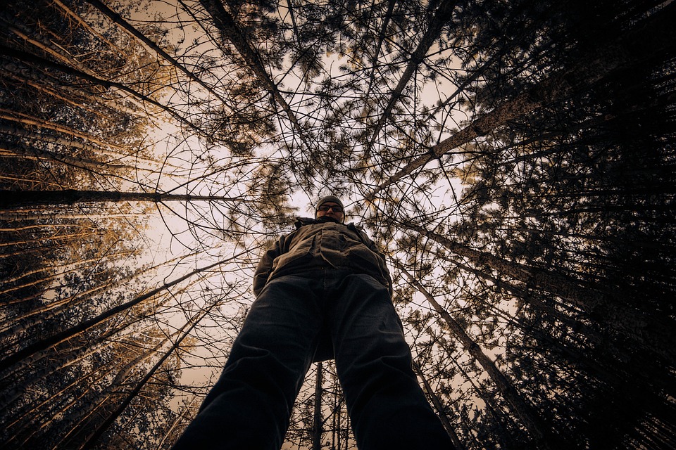 你的「焦虑」可能源于你的母亲!